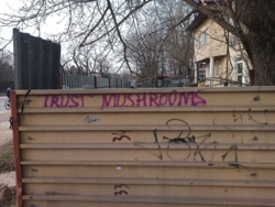 1a8b82db-67cf-4deb-862e-0109c37023d1