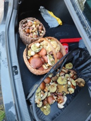 a4a285b4-e043-457a-a86b-6b9f7ddcab11