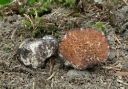 c26ddaf3-5fd5-4253-b70f-670c56ea4c62