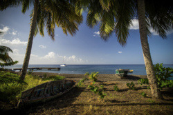 7b922d85-19bc-4868-97ed-33a7e59e2e50