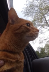 aa9a02e3-5450-4a2a-ad1f-29bf07cffe4d