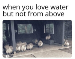 c9730aad-661f-4dbe-a829-3d3215828616