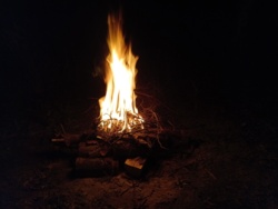 962ab0f0-a687-4397-8471-81a36a28274a