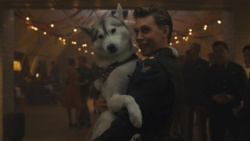 Seriale z psimi bohaterami