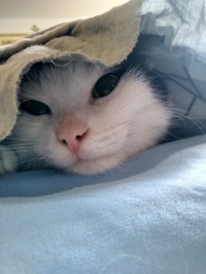 47b13c39-81b7-4dbb-9c48-188f88572e1f