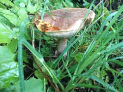 32afd3c8-ddb5-4e4a-b448-e2c0f9aff653