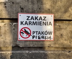 5555fc73-0100-4f7e-bf78-00c5d322c6f0