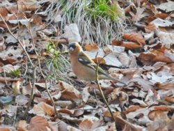 8ee3cccf-f4ed-4d2e-84e9-6ac7311ebbb1