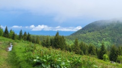 3f04708d-4e79-4462-af16-610cb562b3f3