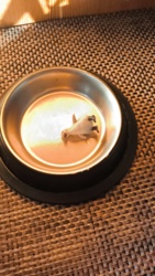 5ee2d702-886d-416e-a550-efd67bde1315