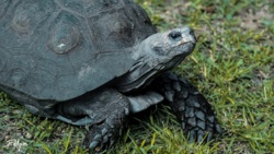 22bf02cc-50ee-4b32-8634-196d6c1bb89c