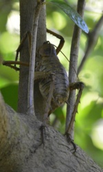 6f8c034a-472f-446e-b30a-192a632b3579