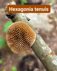 81ed9d82-910d-4fd3-9534-8fbaf5d4b493