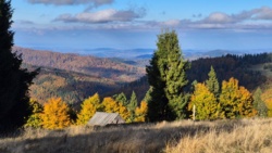 57af51a6-9875-44e7-9d10-014e1710f0b3