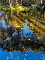 76bd1ef0-d609-4bd9-9dc4-e7ff80baeda1