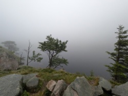 ac8c1594-2966-4691-969d-056e425821d0