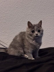 e0413d5a-b4e8-4511-bb84-689f3b862b12