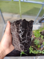 9a86780c-bd61-44e3-9572-4e99b774faeb