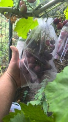 a996c9bb-d2b1-4e26-8223-5882f1ffbec2