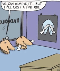 335c8498-590b-4a10-b0c7-5ffe8cd8e53c