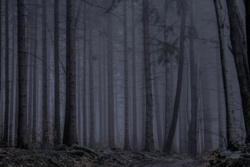 3d0a0c18-1fff-45e5-8ffb-8a61815b9257