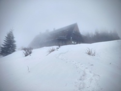 60716ed8-1781-42b1-a3e6-83ba082b4a05