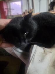 9273845e-4753-41f0-b1b8-38b9f81e21cc