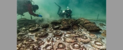 Sensacyjne odkrycie: Archeolodzy wydobyli skarby ze szwajcarskiego jeziora