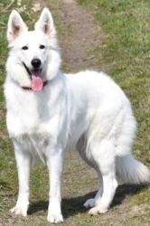 7d909150-0c73-4472-b755-deae171d874f