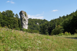 2f25b82a-0d6a-4ac4-abb9-fb87923d057e