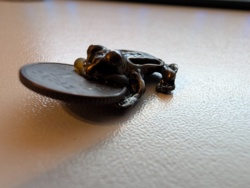 6439baa5-0e0e-4cbe-a496-fa203a07de3f