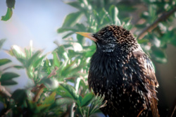 ab4a2072-e4f8-43da-af57-e64201d1b163