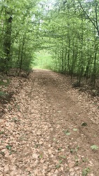 049549c3-7511-42cc-a1eb-bae0459c5108