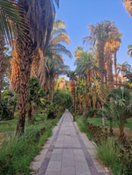 6f15f9de-2cf4-472e-b9ba-055c5c9ba059