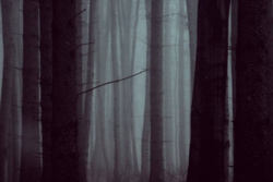 6086999f-dddd-4e4c-b934-5868d0561161