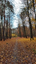 81b690f6-be1d-4933-8678-61e9b3af7400