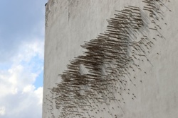 eb352a0a-5089-4242-b102-ea67ab317d99