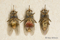 a4ac60f8-8076-4e47-ad32-429056692819