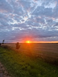 fa66bfb3-f386-4213-ba6a-3e8785299f66