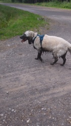 47bab911-3c3a-4a95-8f19-fc3ef9e02f63