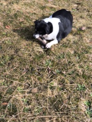 5bee567f-77ff-4873-a084-1b1cba06b4be