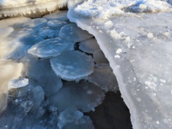 c5b4ee31-5ed2-46e1-98b3-ef5a0f96741e