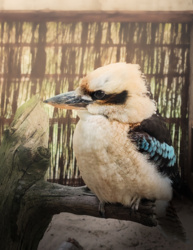 5b7325bd-0f13-4abf-993d-d76bb336c3b5