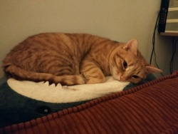 665b55e2-7d40-4019-813f-7aba02aeae7f