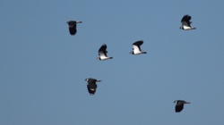 45397143-5f8c-4c17-8b09-2ee49bdaf168