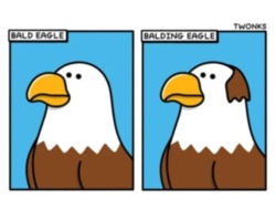 fa4a57a8-9c15-4586-b7a1-d6d09bf597b0