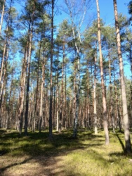 622db515-4aad-444e-b466-ca153bbd2b56