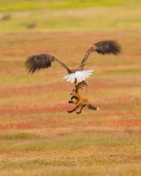 7814535a-eed2-4773-9125-929b1c2215b8