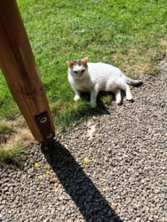 9d867358-cdd3-4853-bd3d-c050e2062740