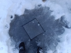 02bc0f03-b129-4fa0-9a48-deb0939d3de9